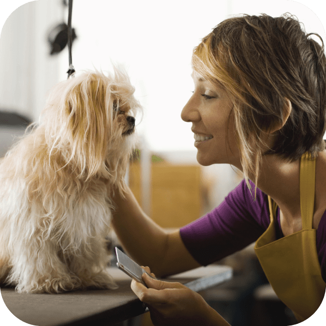 mobile dog grooming edgemead